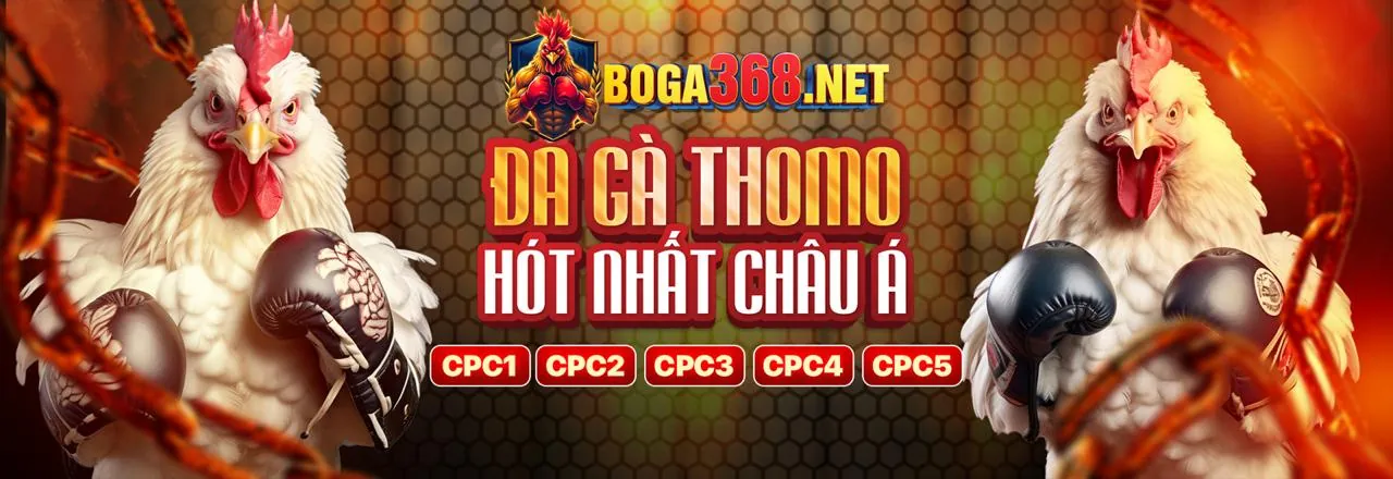Đá gà trực tuyến CLB88 chính thức